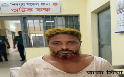 পুটিয়ায় ৭ বছরের শিশু যৌন হয়রানির শিকার ,গ্রেপ্তার ১