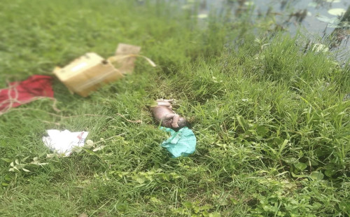 শিবপুরে রাস্তার পাশে নবজাতকের লাশ, উদ্ধার করল পুলিশ